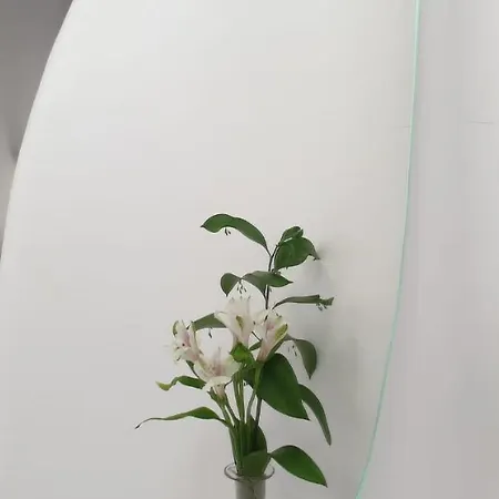 Generis (adults Only) 2* 科爾多瓦