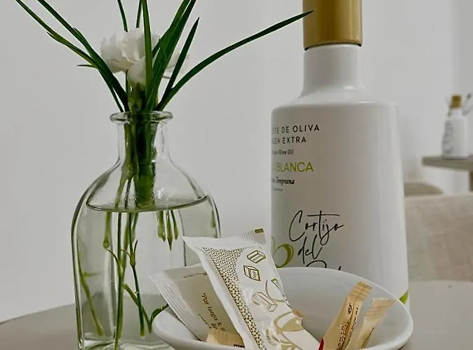 Generis (adults Only) 2* Cordova