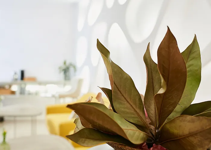 Hotel Generis (adults Only) Cordoue