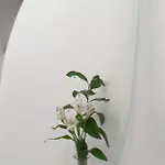 Generis (adults Only) 2* Córdoba