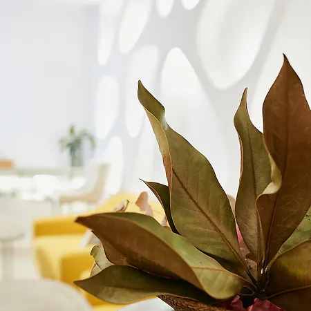 Hotel Generis (adults Only) Córdoba